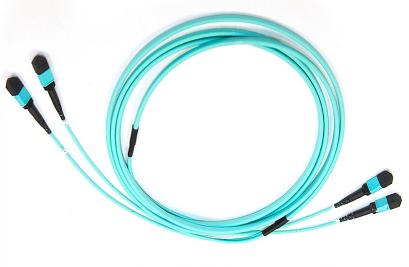 Panduit 12 Fiber OM4 MPO To MPO 12M