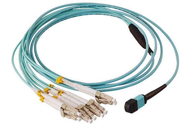 Panduit 12 Fiber OM4 MPO To MPO 19M
