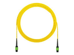Panduit 12 Fiber OM4 MPO To MPO 8M