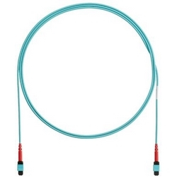Panduit 12 Fiber OM4 MPO To MPO 10M